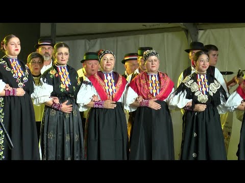 Čepinski suncokreti