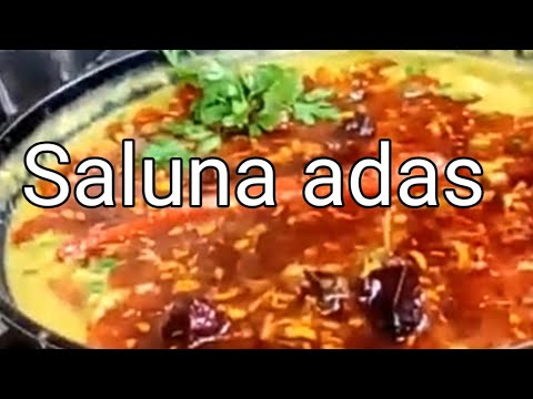 Qatar Saluna Adas