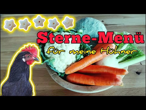 🐔Chickens love this feed! Soft chicken feed recipe with vegetable healthy substainable inexpensive