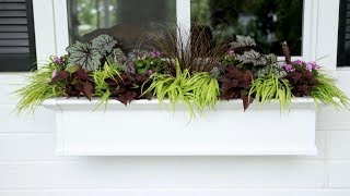 More Ideas for a Window Box in the Shade