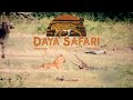 A Sri Lankan Leopard Hunts A Crocodile Yala National Park Sri Lanka