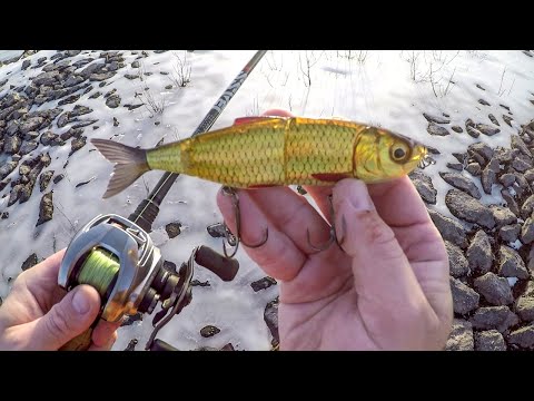 Winter Fishing For Spillway Pike!