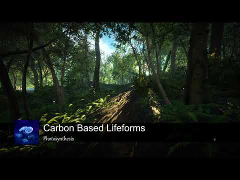 Deep, Melodic House & Minimal Techno feat. Luttrell, Yotto, Boris Brejcha