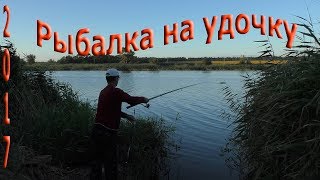 Рыбалка с берега на поплавочную удочку