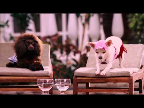 Крошка из Беверли-Хиллз - Трейлер