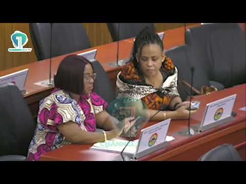 Mahama Ayariga Calls for PWD Quota in Parliamentary Elections