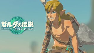 謎解きはもう始まっていますよ【＃２】【ゼルダの伝説 ティアーズ オブ ザ キングダム】