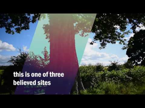 Battle of Falkirk site 1298