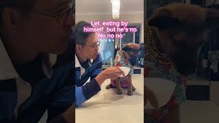 🍇today I prepare fruit  kivi for Rusty!he let me him feeding like kings.if I let him eat by self no