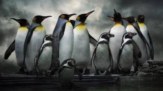 Penguin By Christina Perri