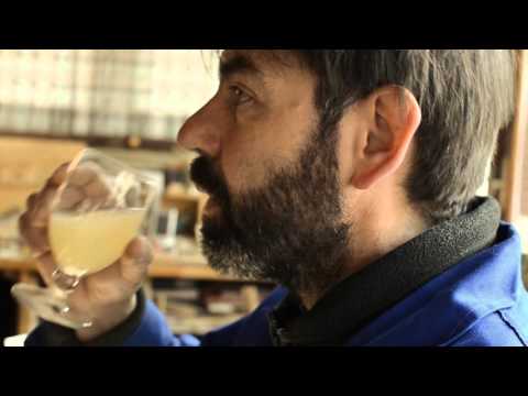 Argalà Pastis_Perfect Serve