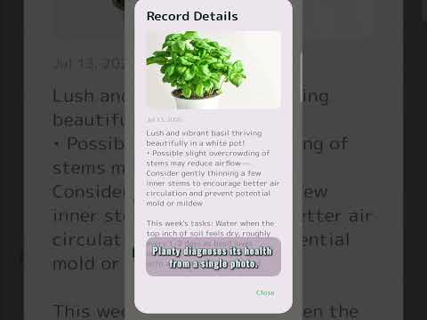 Planty video thumbnail