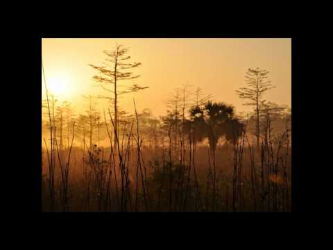 Lydia Kavina   Swampmusic