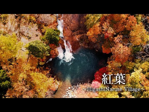 [秋田県東成瀬村]紅葉