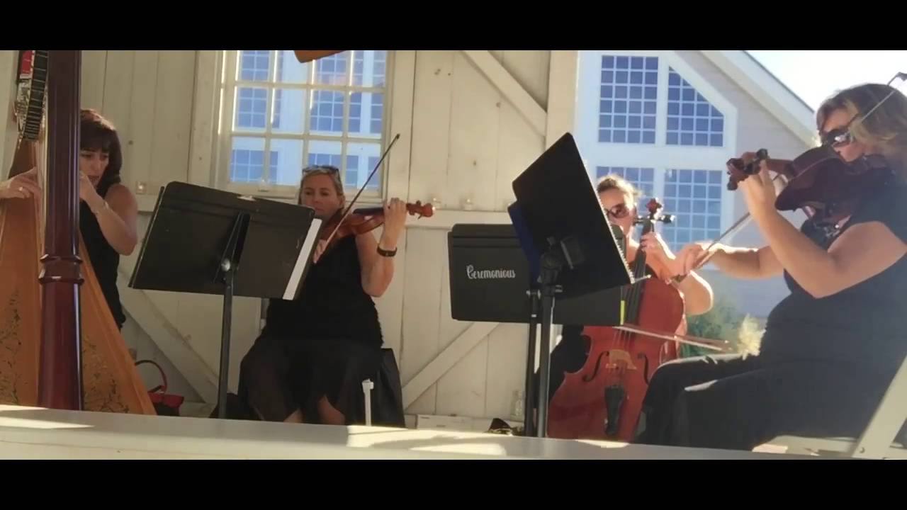 Promotional video thumbnail 3 for Ceremonious Strings LLC 