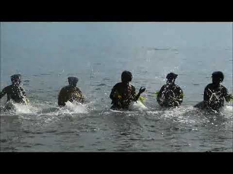 download lagu mp3 mp4 Musiques Du Vanuatu F, download mp3 Musiques Du Vanuatu F free download, download mp3 Musiques Du Vanuatu F