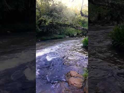 Arroyo El Molino. #arroyo #naturaleza #salto #videoshort #sanpedro #misiones #argentina