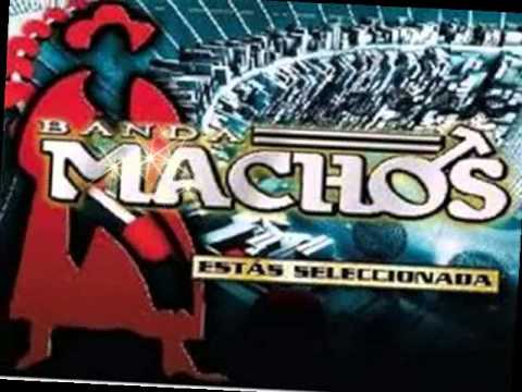 Sangre De Indio - Banda Machos