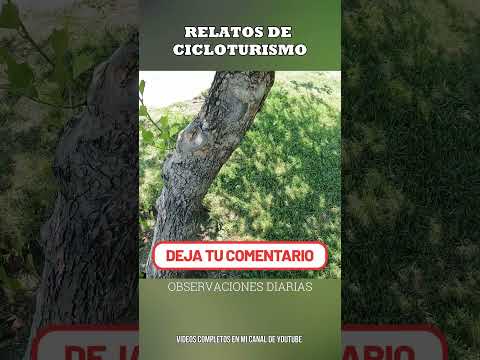 CICLOTURISMO EN NEUQUÉN POR EL BARRIO MARIANO MORENO