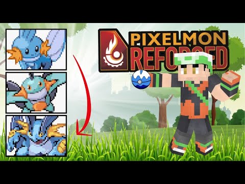 SALIAMO DI LIVELLO NELLA TORRE DI LAVANDONIA! Minecraft ita pixelmon Reforged ft AwakenFox