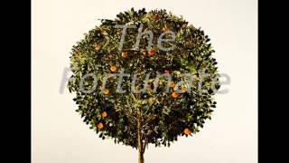 Top Five Songs for Aries Zodiac