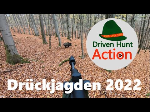 Driven hunts 2022 - Hunting of wild boar, red deer, roe deer and fallow deer