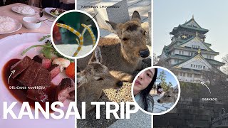 【日韓夫婦/한일부부】神戸・奈良・京都　関西旅行　/ 고베·나라·교토 간사이 여행　Vlog