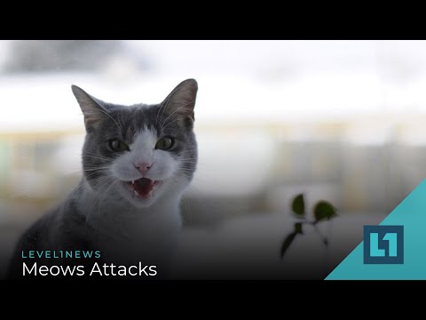 Level1 News July 28 2020: Meows Attacks