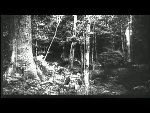 Battlefield: Pearl Harbor