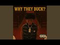 Why They Duck