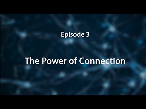 Stress, Trauma, and the Brain: Insights for Educators--The Power of Connection