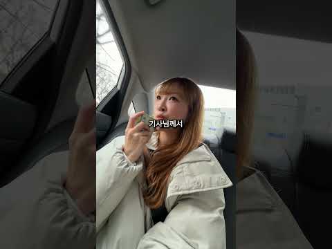 앞 차 따라가주세요! 진짜 따라가줄까?