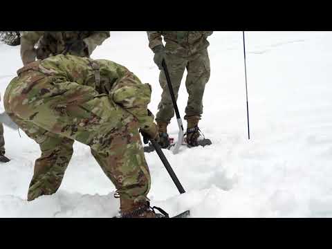 Italia pronta alla guerra? Richiamati, riservisti e la reintroduzione della leva