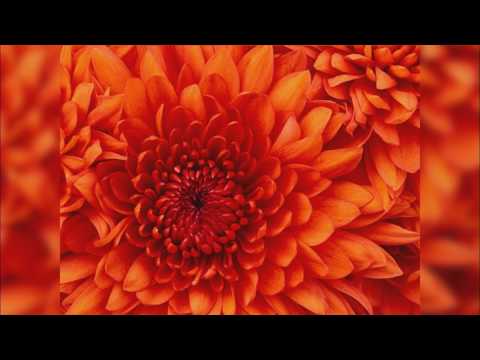 Secret Frequency video thumbnail