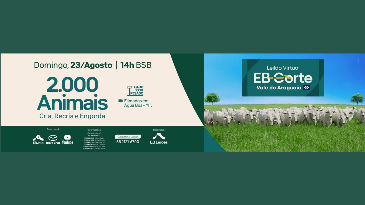 LEILÃO VIRTUAL EB CORTE VALE DO ARAGUAIA | 23/08/2026 – 14H