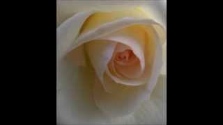 Moment's Notice  John Coltrane  (Blue Train).