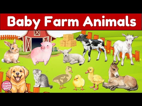 Let's Visit Baby Animals on the Farm! 🐥🐖 Learn Animal Names for Kids