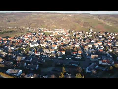 Guldental 21 Jan 2021