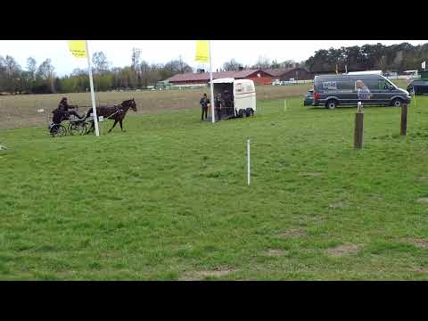 Fahrturnier Greffen 10.4.2022