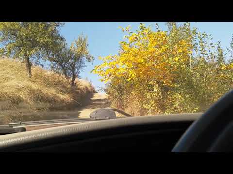 Holbav - din Chiscu' Richiții în Chiscu' Văii Iepii