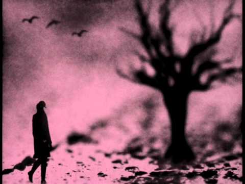 Psilocybe Larvae - Sleepwalkers