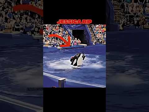 Jessica rip, and last moment,,😭 #shorts #jessica