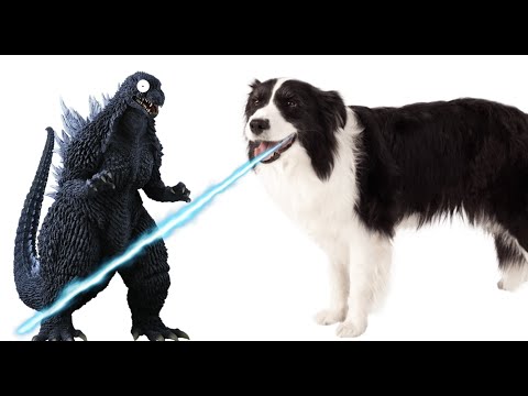 Godzilla vs Dogzilla