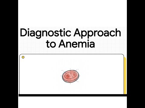 Diagnostic Approach to Anemia | A Complete Clinical Guide for Medical Learners