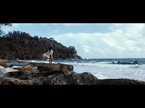 Damasy - Zarden Roz Remix ft DNR (Official Music Video)