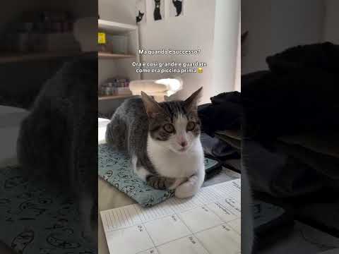 Pepe era super piccola e ora?!