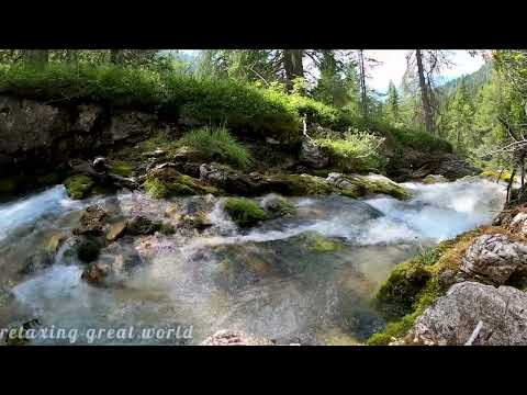 10 HOURS Morning Bird Songs and River Sounds for the Best Start of the Day - Morning River #4k  UHD