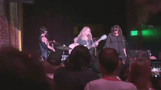 “Hey Old Timer” - that dog