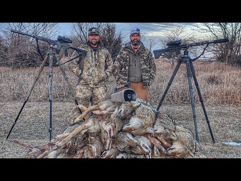 Using Thermal to Make a Big Pile of Coyotes! - The Last Stand S4E7