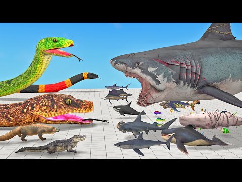 The Toughest of All - Who is The Boss - Megalodon or Giant Titanoboa - Animal Revolt Battle Simulato